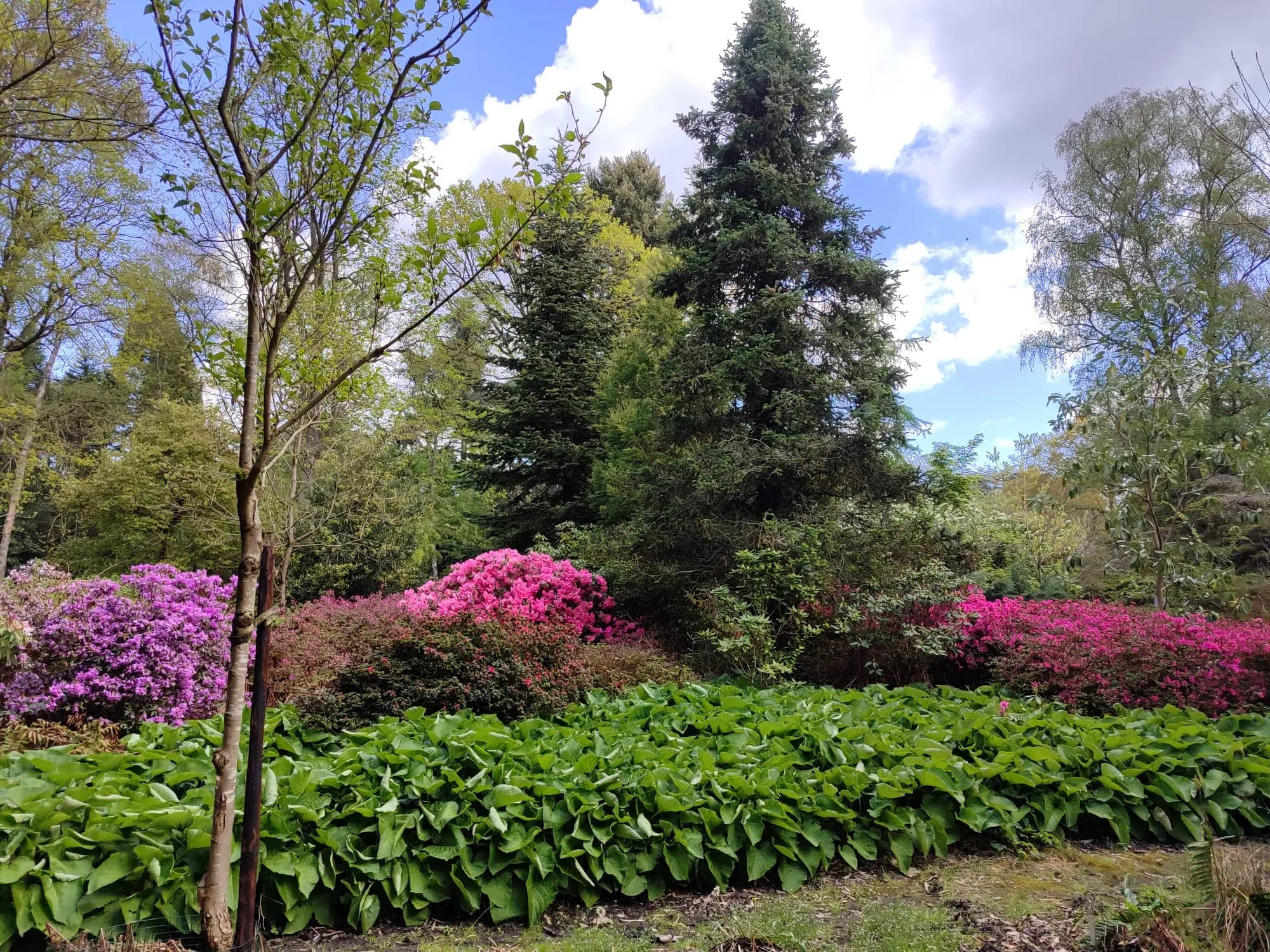 Daguitstap Limburg 19/04/2026 6