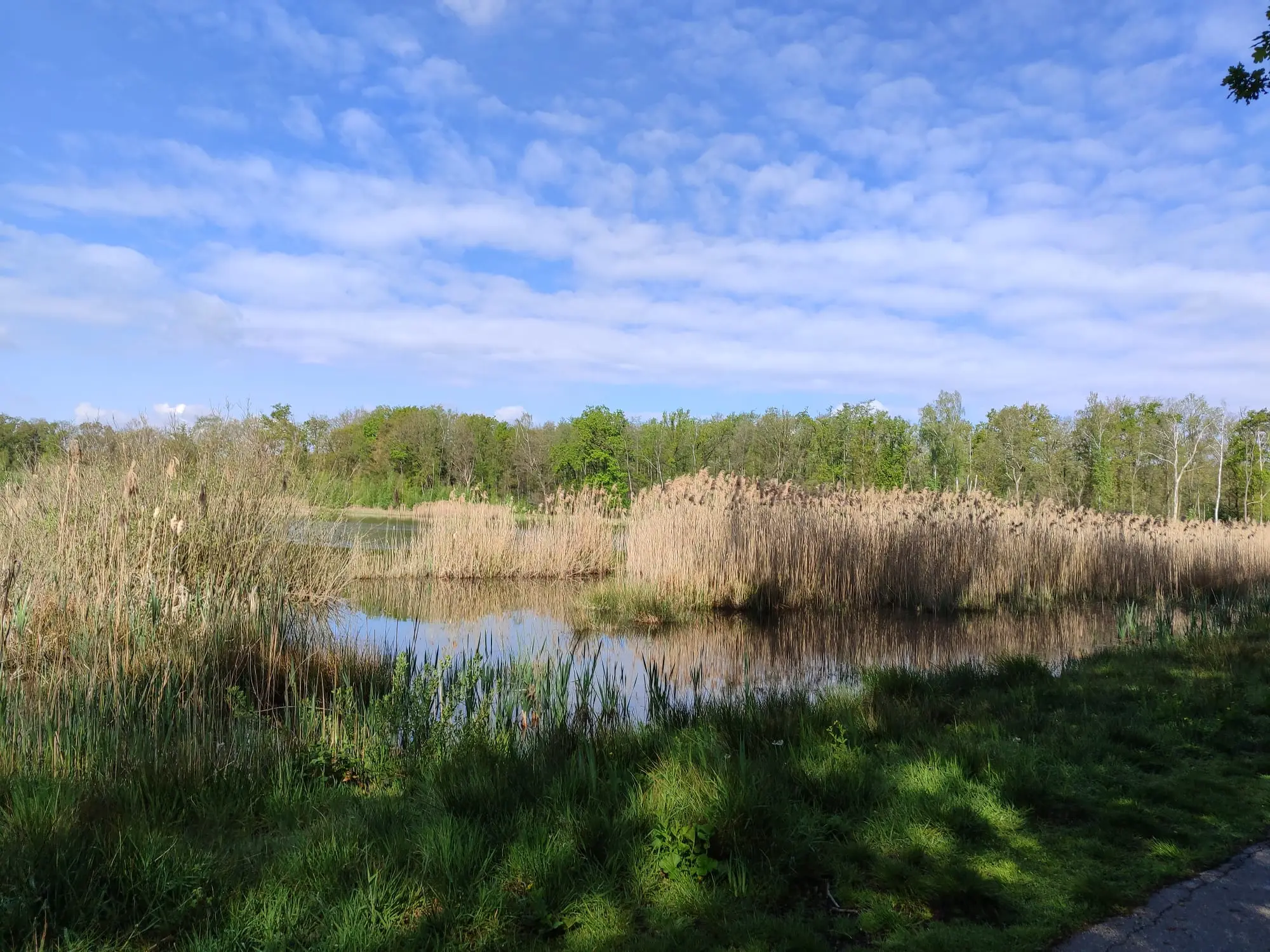 Daguitstap Limburg 19/04/2026 3