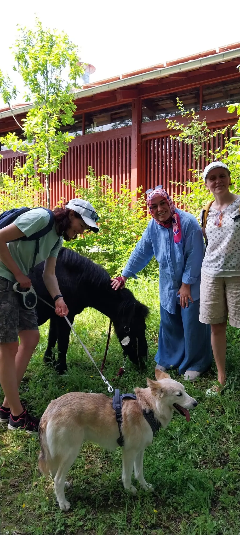 WandelMee Anderlecht 24 mei 2026 1