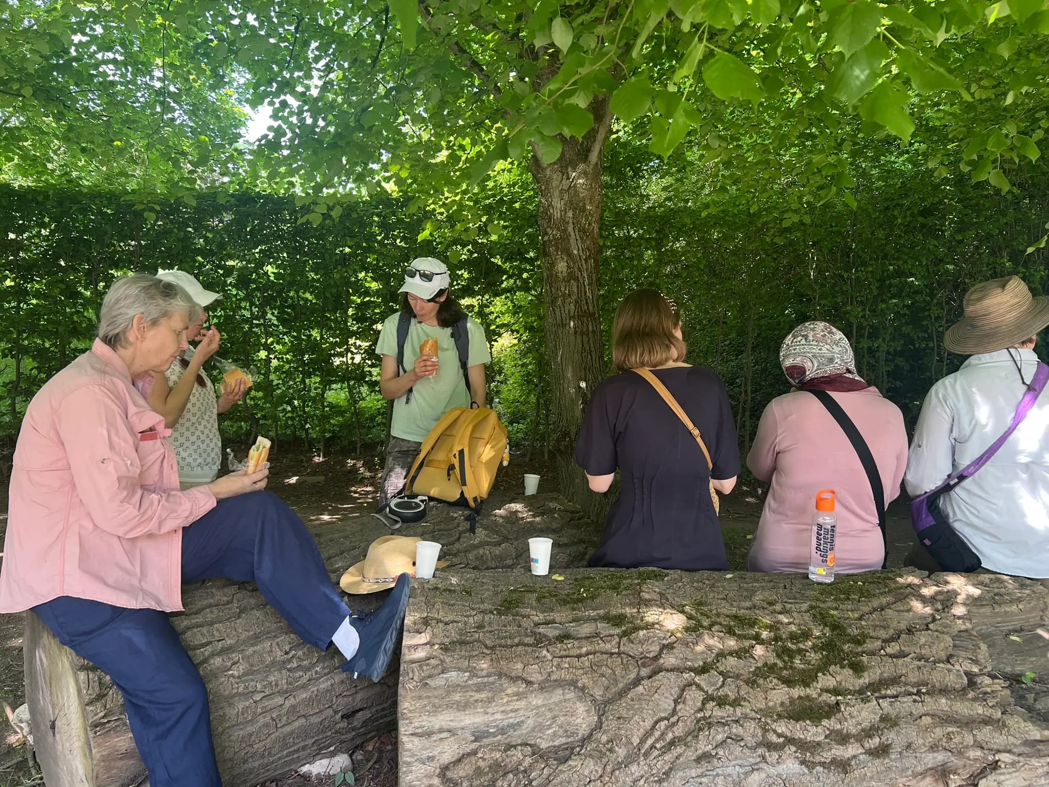 WandelMee Anderlecht 24 mei 2026 17